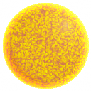 Yellow Sun